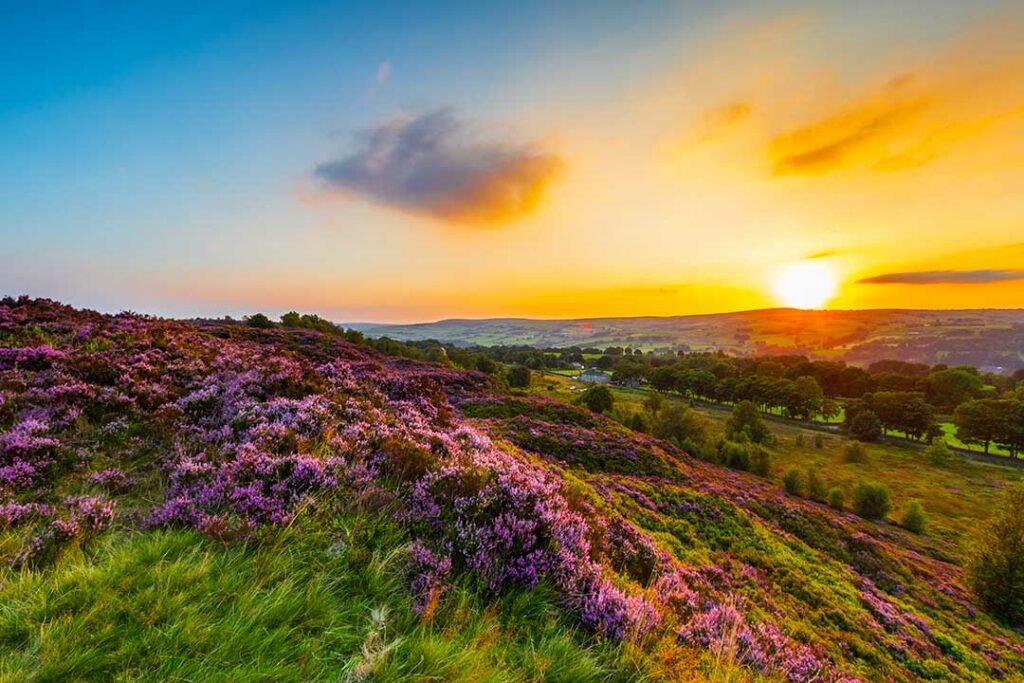 Things to do in Halifax, UK Things to do in Halifax, UK
